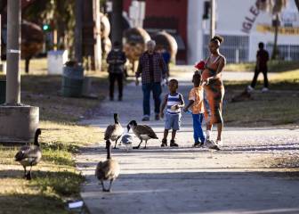 Cines en México: ¿cuándo y cómo abrirán tras la Cuarentena?