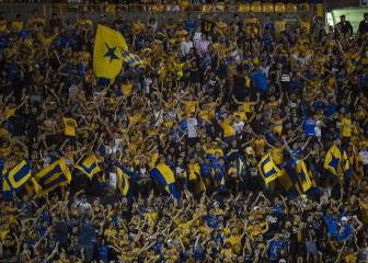 Buscará Tigres retribución a los abonados