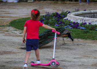 ¿En qué consiste el regreso escalonado a las clases en México?