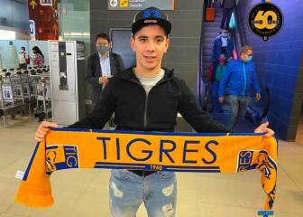 Leo Fernández sobre Tigres: 