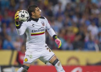 El Gansito Hernández también jugará en LBM