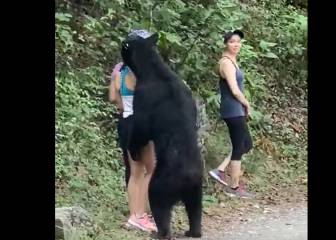 El momento de terror que vivió una mujer en Chipinque, Nuevo León, cuando se acercó un oso