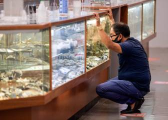 Coronavirus en México: ¿cómo afectará la situación al desempleo en agosto