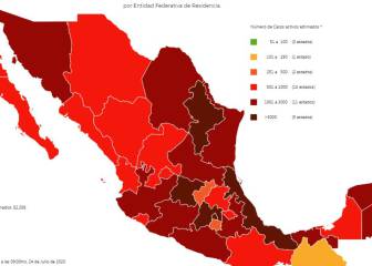 Mapa y casos de coronavirus en México por estados hoy 25 de julio