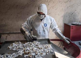 México rebasa las 50 mil muertes por Coronavirus