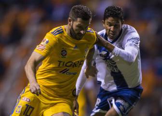 Tigres - Puebla, cómo y dónde ver; horario y TV online