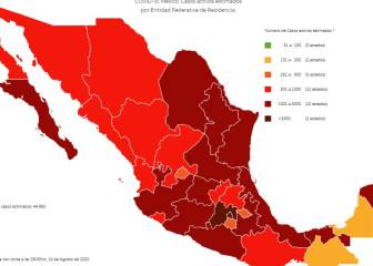 13 estados tienen más mil casos activos de Covid-19