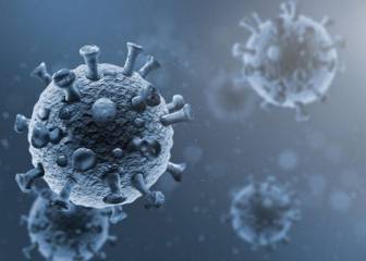 ¿Anticuerpos monoclonales pueden proteger del coronavirus?