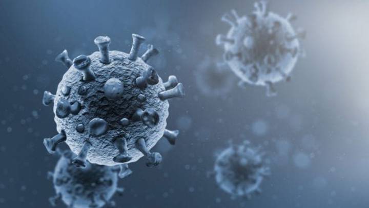 ¿Anticuerpos monoclonales pueden proteger del coronavirus?