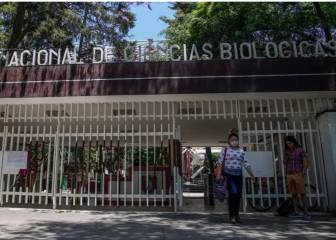 Becas IPN: ¿cuándo las empezaré a cobrar?