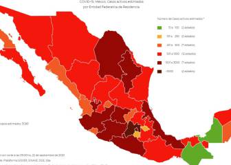 Más de 500 mil personas se han recuperado de Covid-19 en México