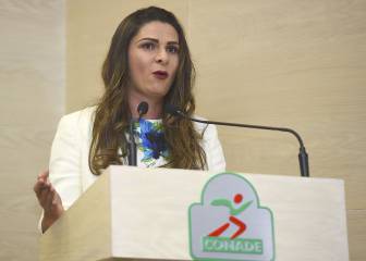 Fondo para el Deporte de Alto Rendimiento, cerca de desaparecer