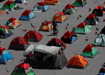 ¿Qué es y qué persigue el FRENAA en México?