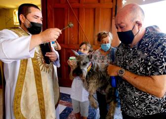 En vivo: México rebasa los 82 mil fallecimientos por COVID-19