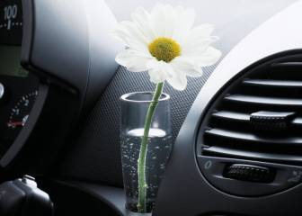 Por qué los automóviles equipaban floreros en el interior