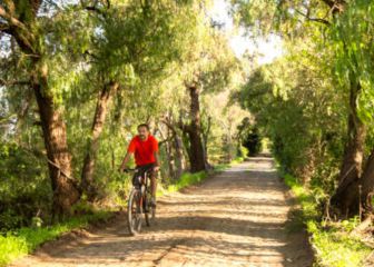 Del Mazo anunció nuevas medidas para mitigar la transmisión del COVID-19