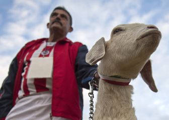 Chivas tendría aficionados en Akron para la liguilla