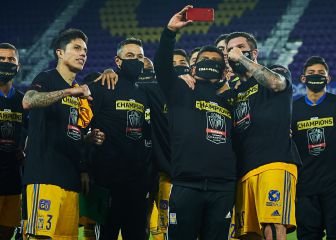 Tigres y un 2020 'rescatable'