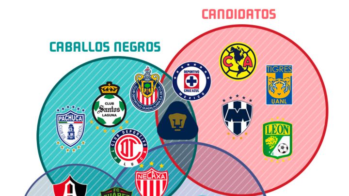 Los roles de los 18 equipos en la Liga MX