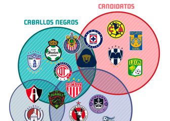 Los roles de los 18 equipos en la Liga MX