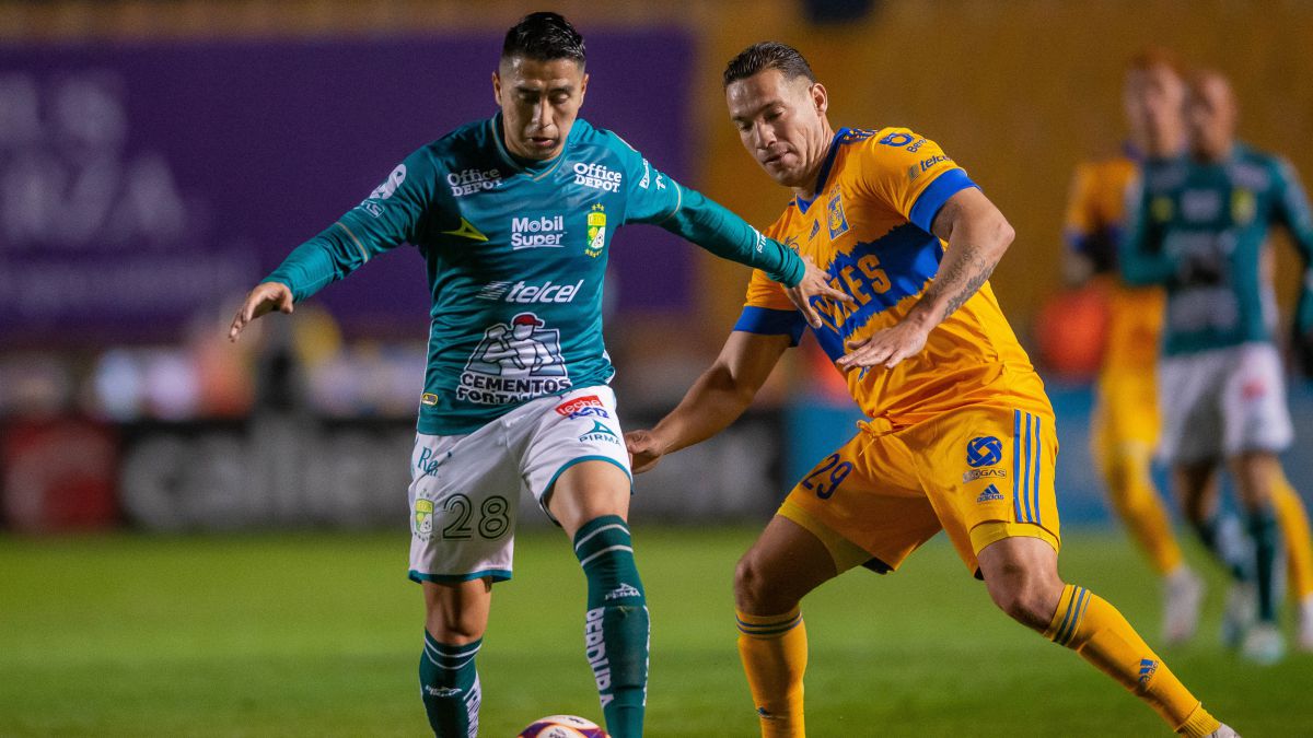 cómo quedó tigres y león