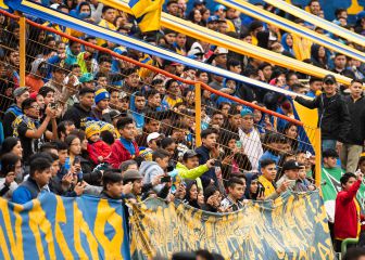 Afición felina no podrá viajar a Catar