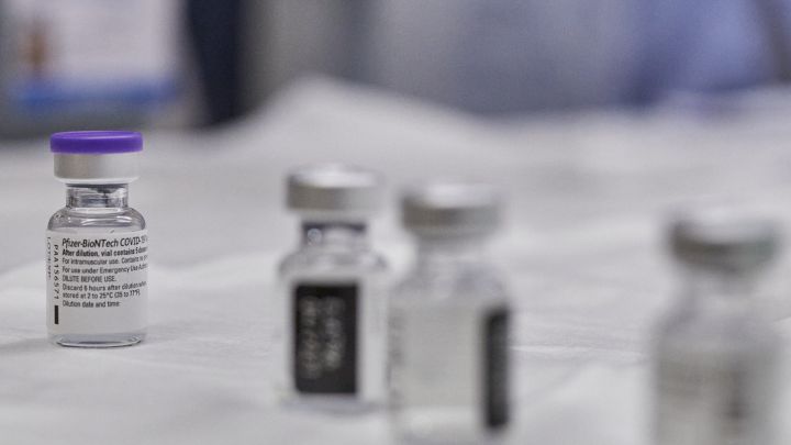 Vacuna coronavirus México: cuándo se empezarán a vacunar los adultos y fechas clave