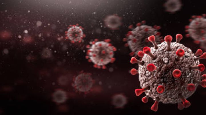Nuevo fármaco contra el coronavirus: Cómo funciona este fármaco desarrollado por científicos mexicanos