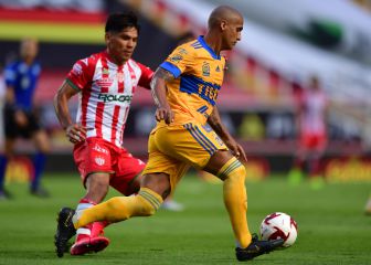 Tigres - Necaxa: Horario, canal, TV, cómo y dónde ver