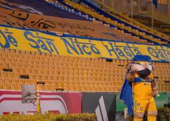 Un Tigre no deja solo a otro Tigre: La increíble historia de Severo Guerrero