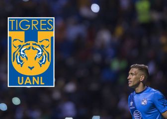 Vikonis se sube al barco felino: 