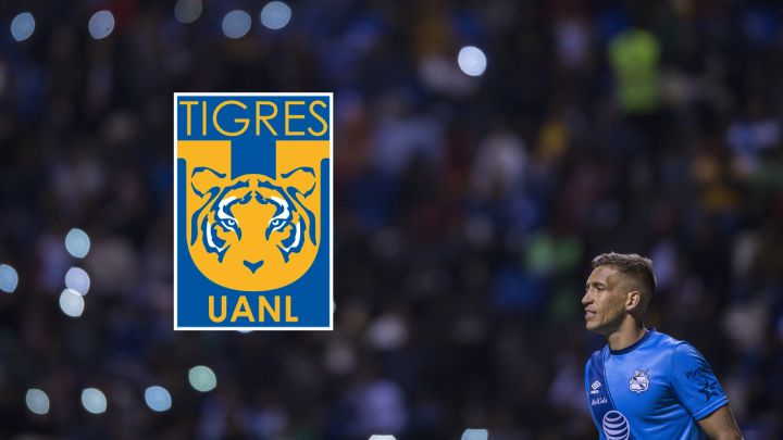 Nicolás Vikonis: "Espero Tigres gane y le vaya bien"