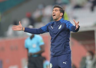 Abel Ferrerira: 