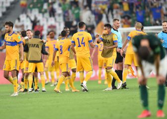 Tigres, por la historia incomparable