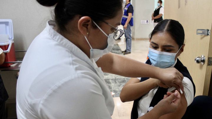 Coronavirus en México, 19 de febrero: Resumen de noticias, casos y muertes