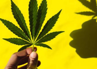 Cámara de Diputados vota y discute sobre la legalización del uso recreativo de la mariguana