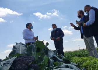 En febrero la actividad económica disminuyó 0.3%: INEGI 