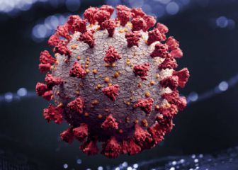 SSA indicó que todavía no se sabe científicamente el tiempo de inmunidad de las vacunas antiCOVID