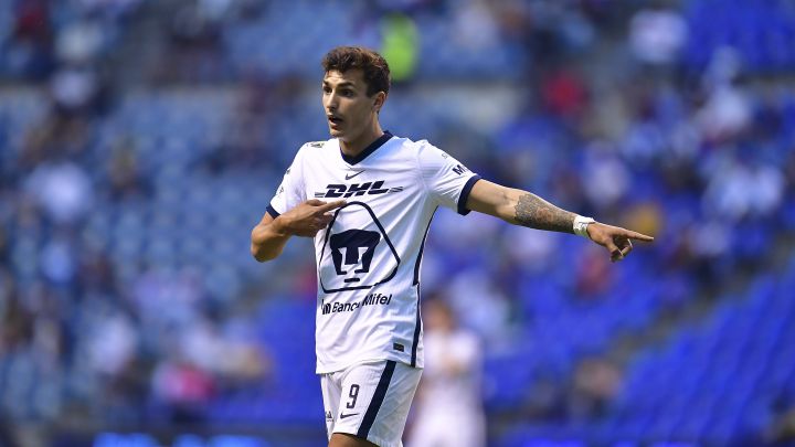 purple pumas noticias