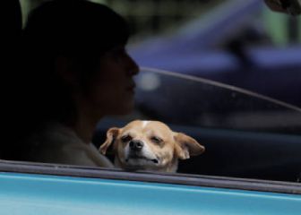 Refrendo CDMX: cuál es la fecha límite y cómo pagar sin intereses