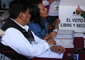 Elecciones Federales 2021: qué es un observador electoral y qué hace