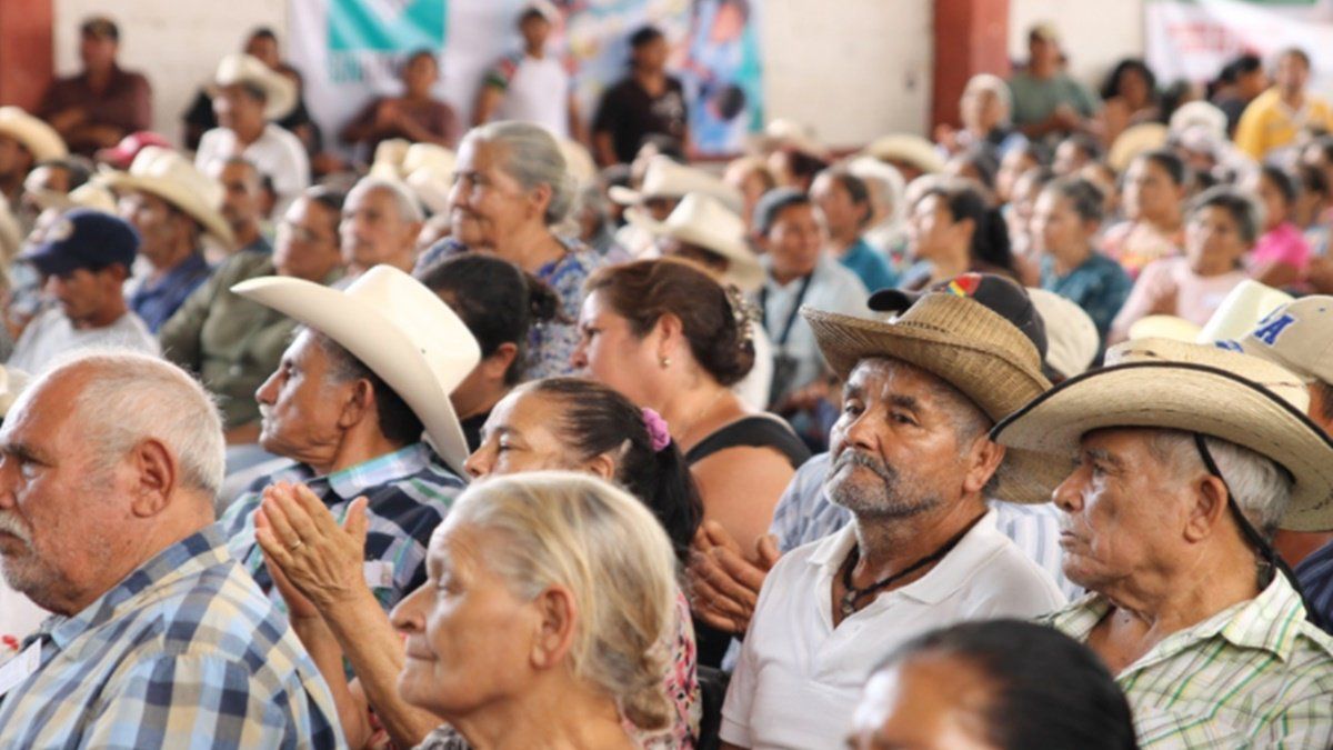 ¿Cómo solicitar la Pensión Bienestar para adultos mayores? - AS México