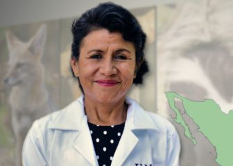 EU premia a académica de la UNAM por investigación sobre virus en animales silvestres