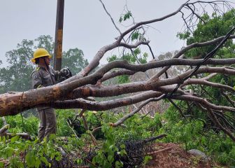 CFE restablece al 100% el servicio en estados afectados por paso de la tormenta tropical “Dolores”