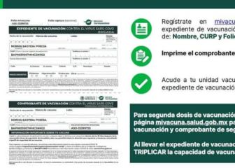 Vacunación México: cómo descargar el expediente de vacunación y para qué lo necesito