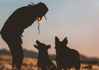 Día Mundial de la Zoonosis: la salud de los animales también protege al humano