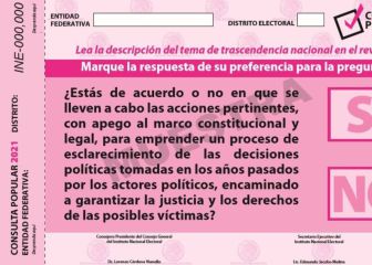 Consulta Popular: cuál es la pregunta y cuándo se darán a conocer los resultados 