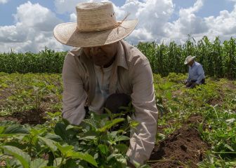 Actividad económica en México incrementó 0.6% en mayo de 2021: INEGI 