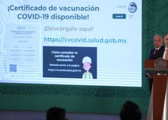 Certificado de Vacunación: en qué estados será obligatorio tramitarlo 