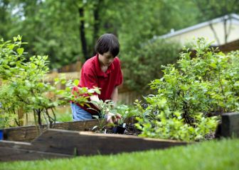 Impartirán 14 talleres gratuitos sobre sustentabilidad en alcaldía Azcapotzalco